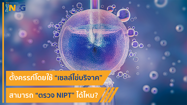 ตั้งครรภ์โดยใช้เซลล์ไข่บริจาค สามารถตรวจ NIPT ได้ไหม?
